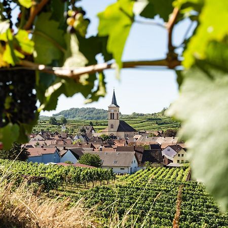 Braviscasa - Ferienresidenz Haus Am Bach Vogtsburg Am Kaiserstuhl Ngoại thất bức ảnh