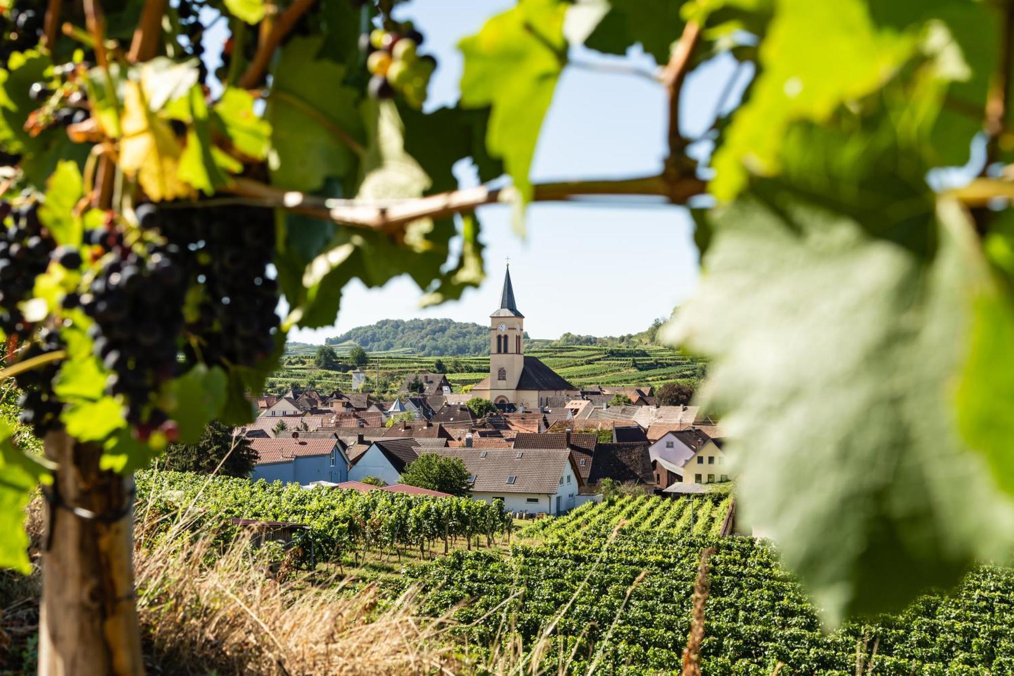 Braviscasa - Ferienresidenz Haus Am Bach Vogtsburg Am Kaiserstuhl Ngoại thất bức ảnh